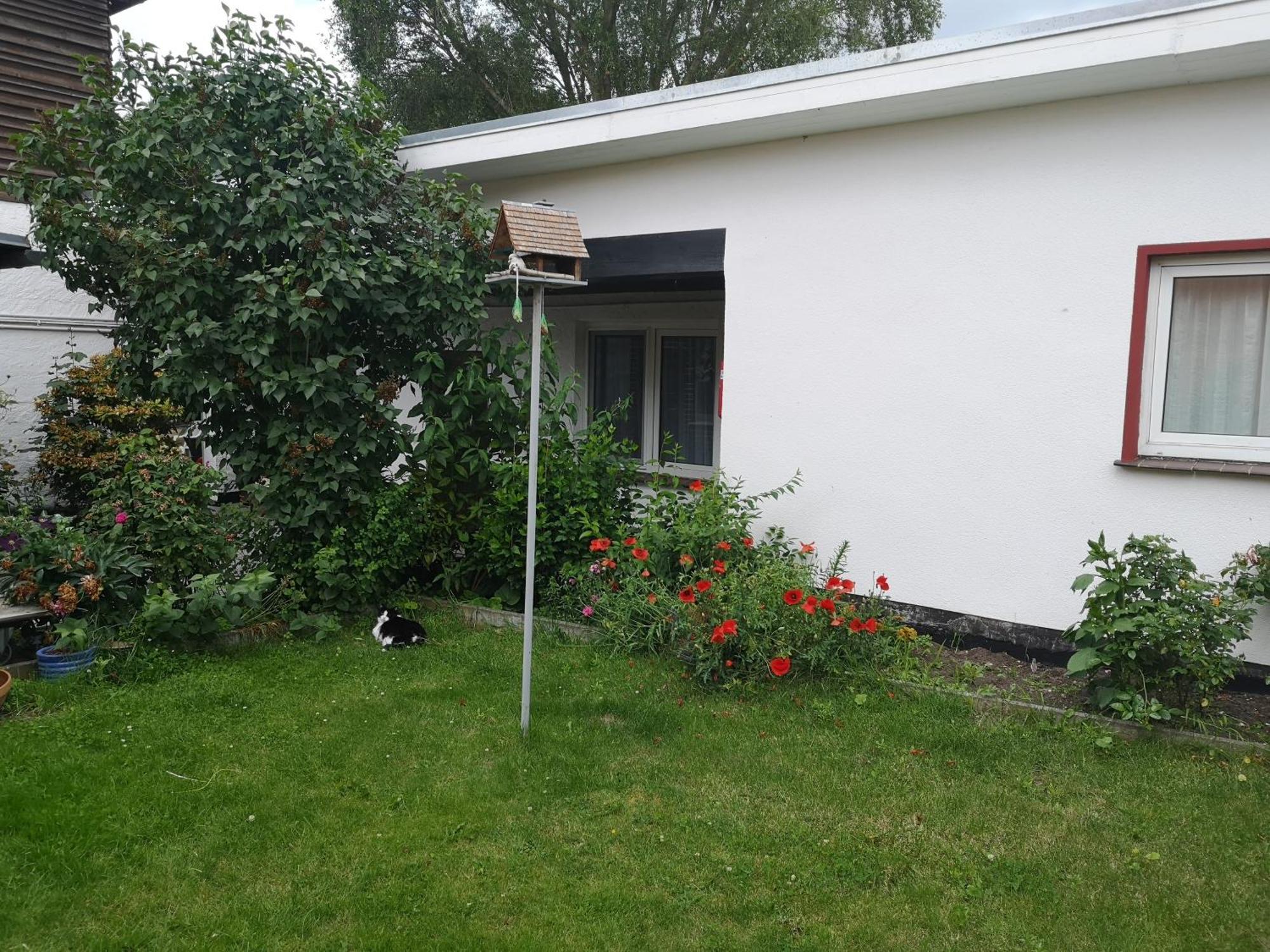 Uschi'S Gasthof Neuendorf  外观 照片